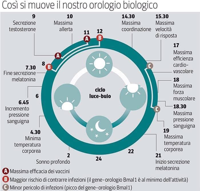 bioenergy nutrition integratori sportivi alimentazione cuneo