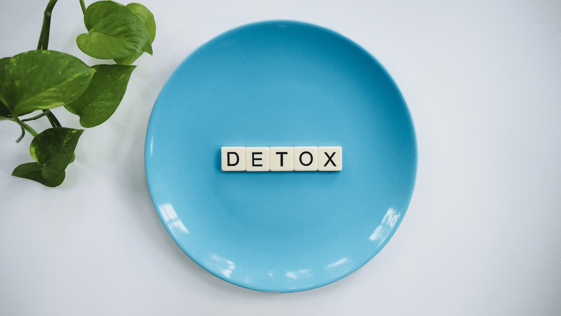 bioenergy nutrition integratori sportivi alimentazione cuneo alimentazione detox