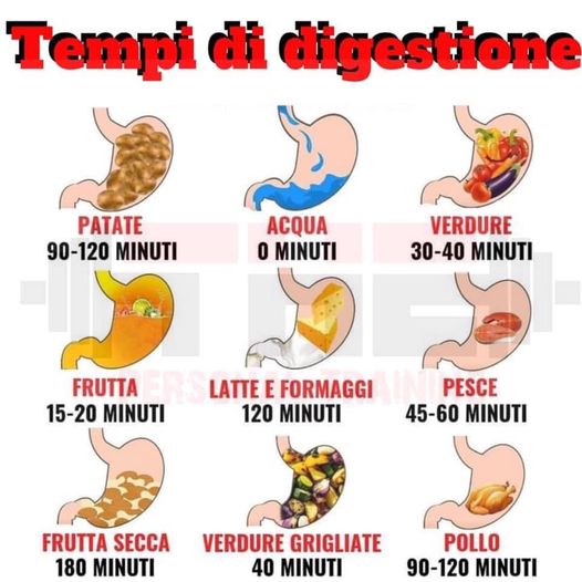 bioenergy nutrition integratori sportivi alimentazione cuneo tempi di digestione