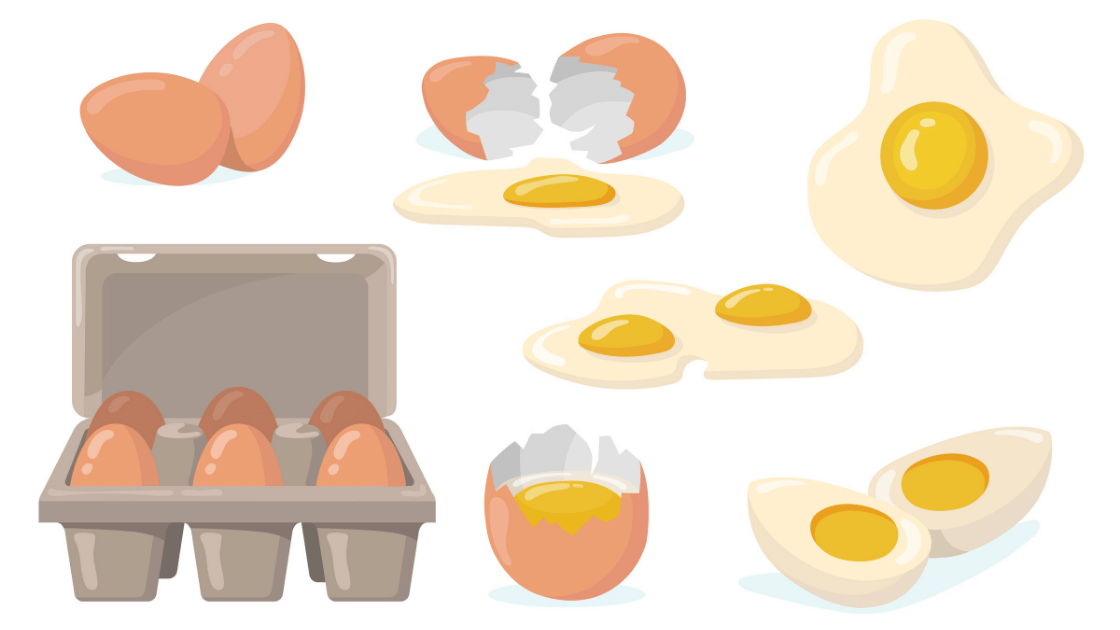 proteine dell'uovo bioenergy nutrition integratori sportivi alimentazione cuneo