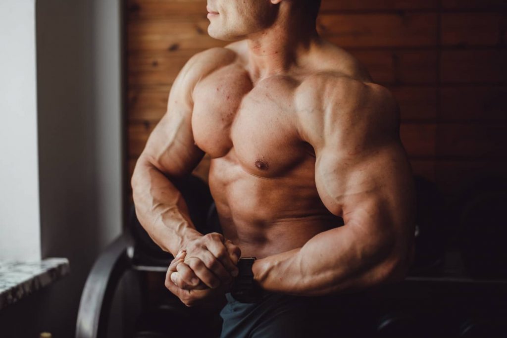 ipertrofismo muscolare body builder body building bioenergy nutrition integratori sportivi alimentazione cuneo