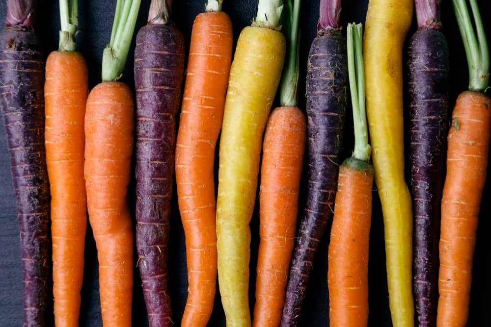 antocianina e carote viola bioenergy nutrition integratori sportivi alimentazione cuneo