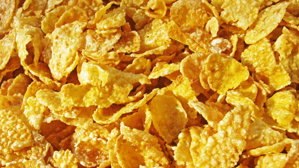 corn flakes bioenergy nutrition integratori sportivi alimentazione cuneo