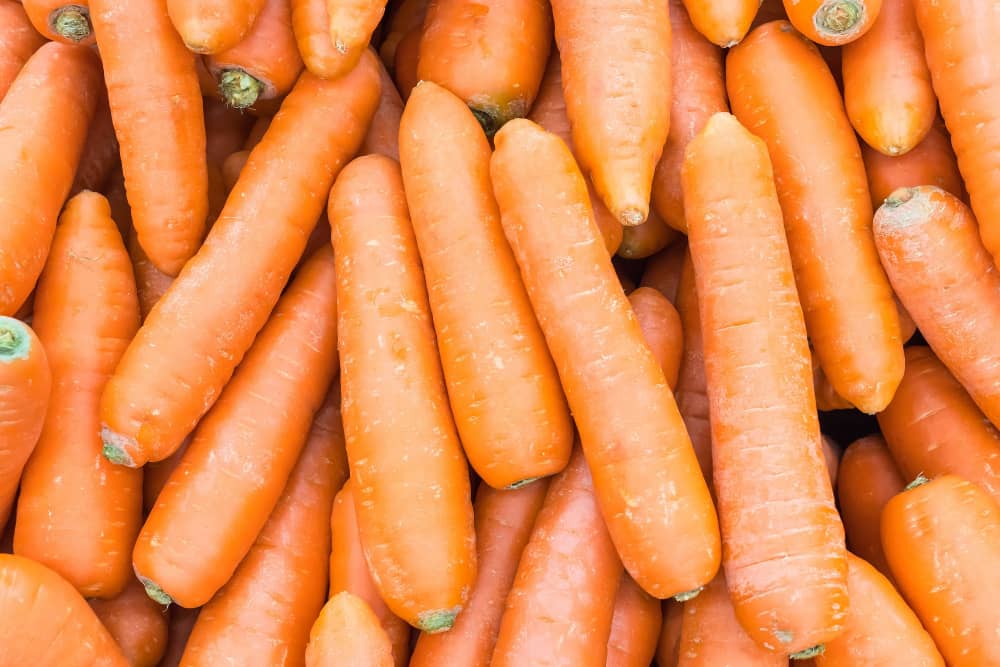 bioenergy nutrition integratori sportivi alimentazione cuneo proprietà delle carote