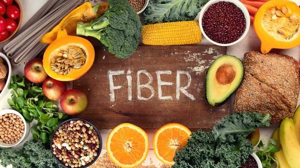 fibre colon e alimenti bioenergy nutrition integratori sportivi alimentazione cuneo