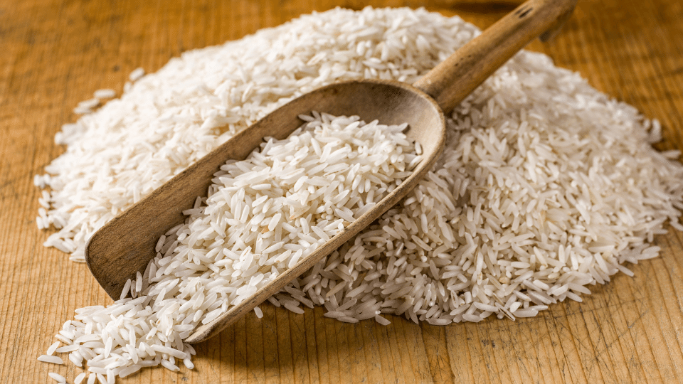 bioenergy nutrition integratori sportivi alimentazione cuneo riso e sue proprietà