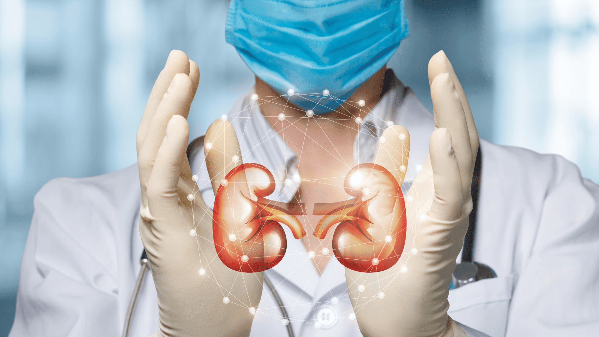 bioenergy nutrition integratori sportivi alimentazione cuneo funzionalità renale