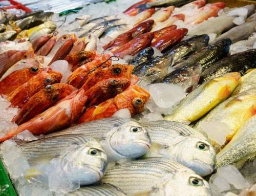 Pesce e mercurio