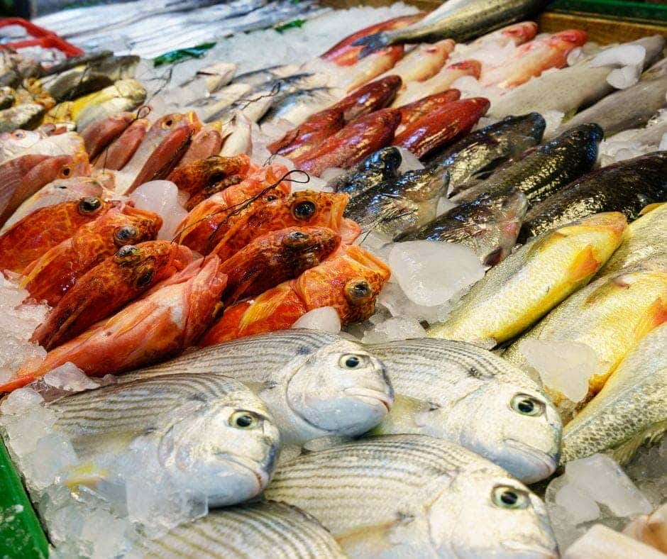 pesce e mercurio bioenergy nutrition integratori sportivi alimentazione cuneo