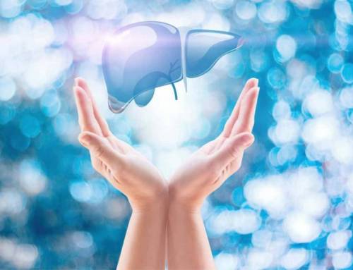 Fegato, alimentazione e qualità della vita