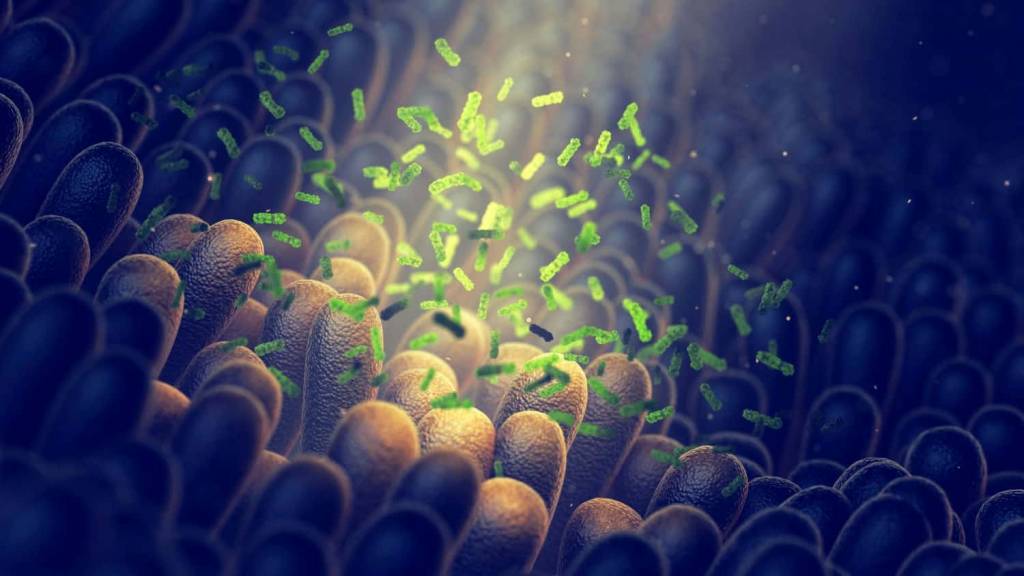 Microbiota intestinale bioenergy nutrition integratori sportivi alimentazione cuneo