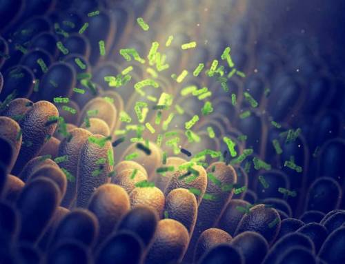 Microbioti e senso di fame