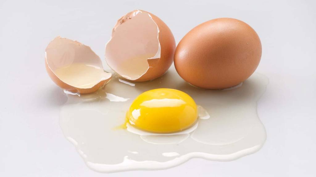 proprietà delle uova bioenergy nutrition integratori sportivi alimentazione cuneo