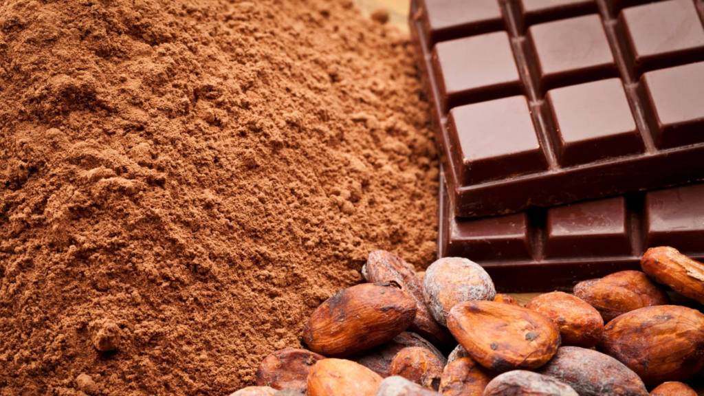 Cacao cioccolata bioenergy nutrition integratori sportivi alimentazione cuneo