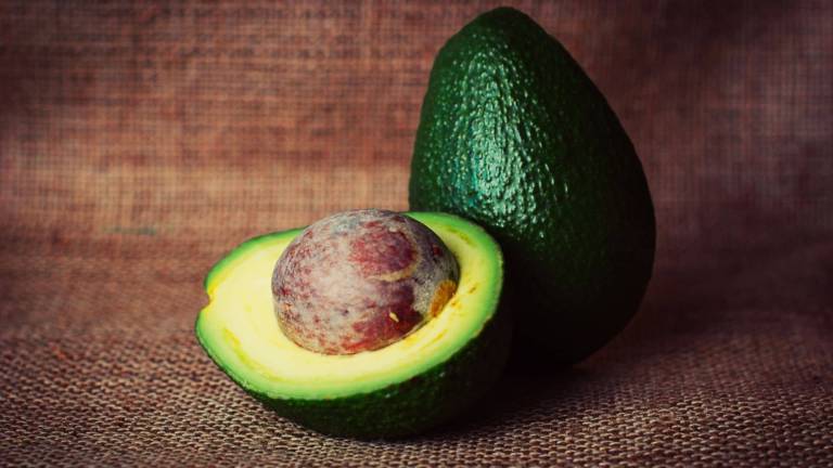 Avocado bioenergy nutrition integratori sportivi alimentazione cuneo