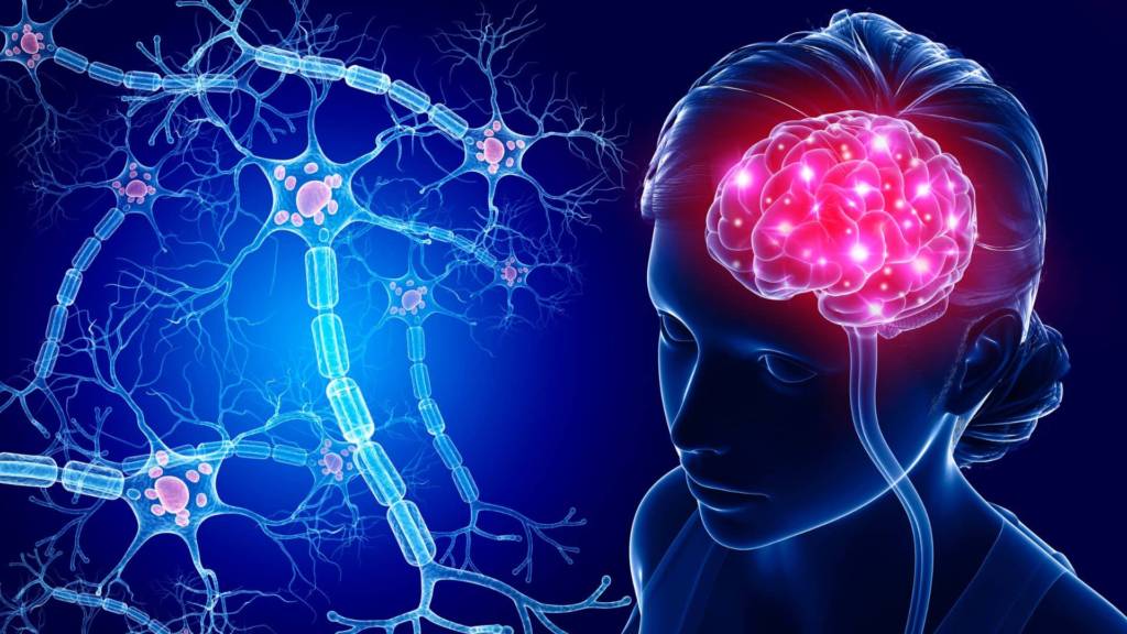 Neurotrasmettitori e cervello bioenergy nutrition integratori sportivi alimentazione cuneo
