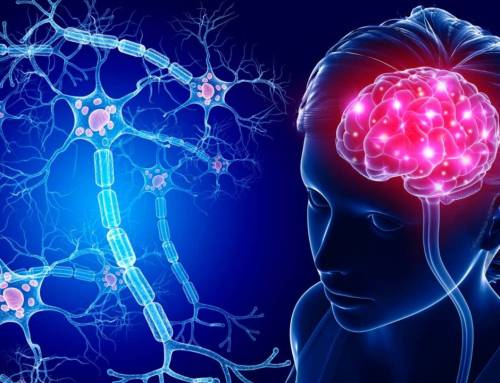 Cervello e neurotrasmettitori