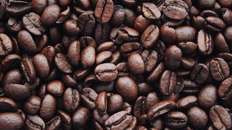 Caffè e caffeina bioenergy nutrition integratori sportivi alimentazione cuneo