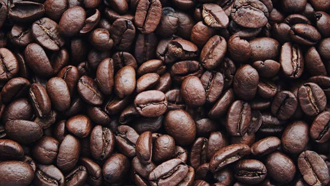 Caffè e caffeina bioenergy nutrition integratori sportivi alimentazione cuneo