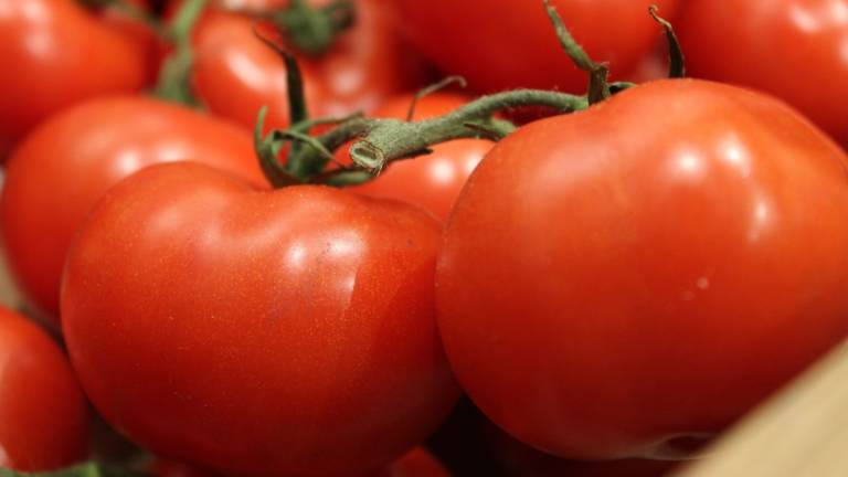 Pomodoro bioenergy nutrition integratori sportivi alimentazione cuneo