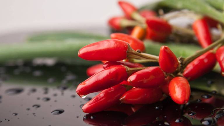 Capsaicina peperoncino benefici bioenergy nutrition integratori sportivi alimentazione cuneo