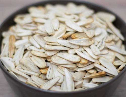 I benefici nutrizionali e le proprietà salutari dei semi di zucca