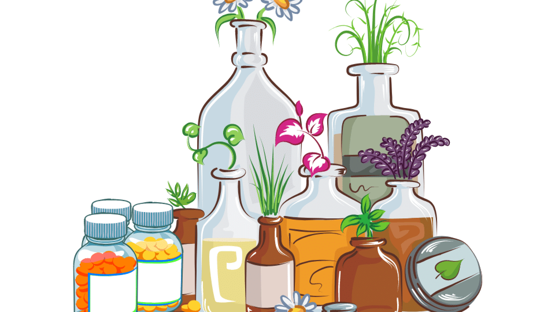 piante utili per il benessere umano piante utili per il benessere umano bioenergy nutrition integratori sportivi alimentazione cuneo