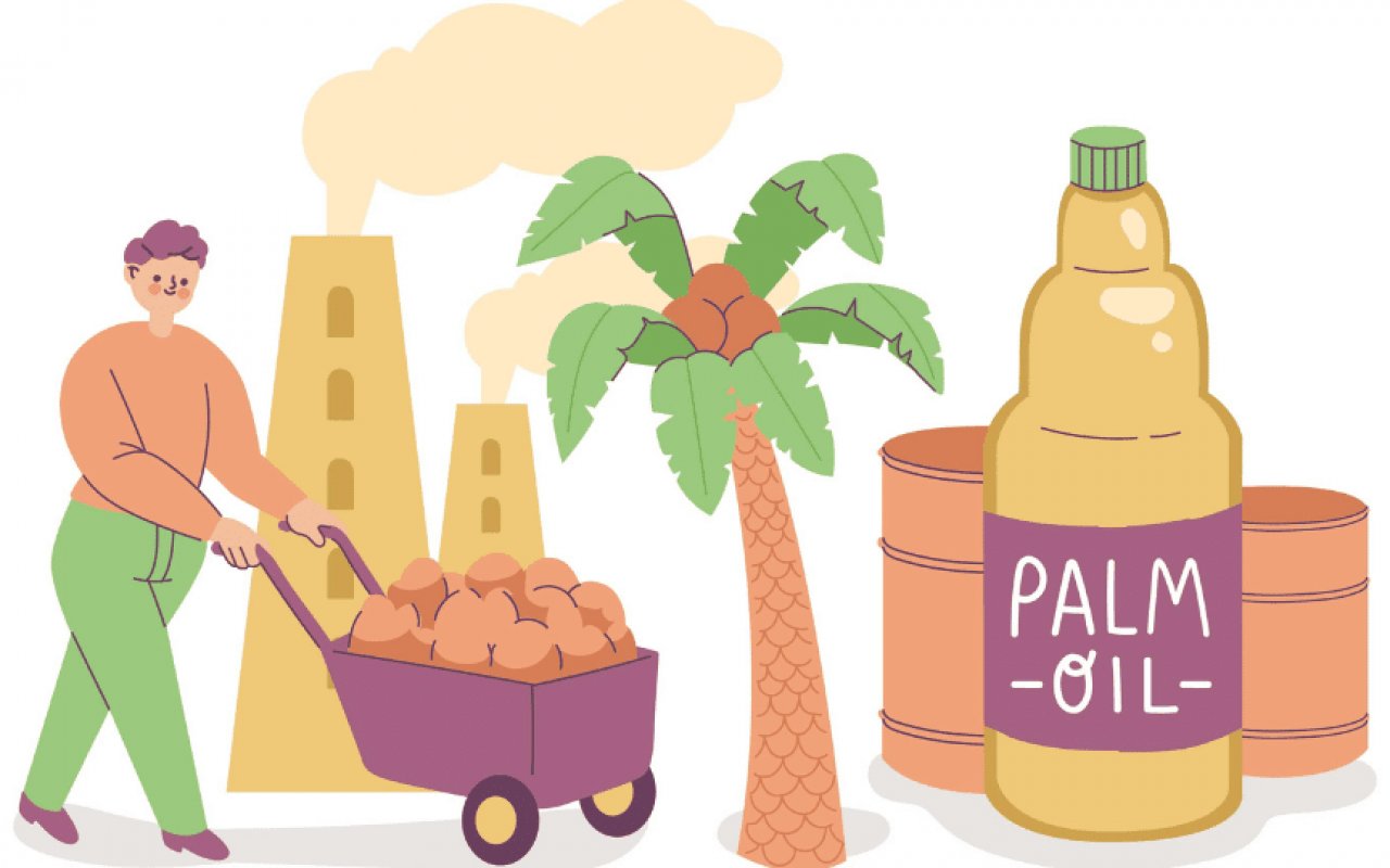 olio di palma bioenergy nutrition integratori sportivi alimentazione cuneo