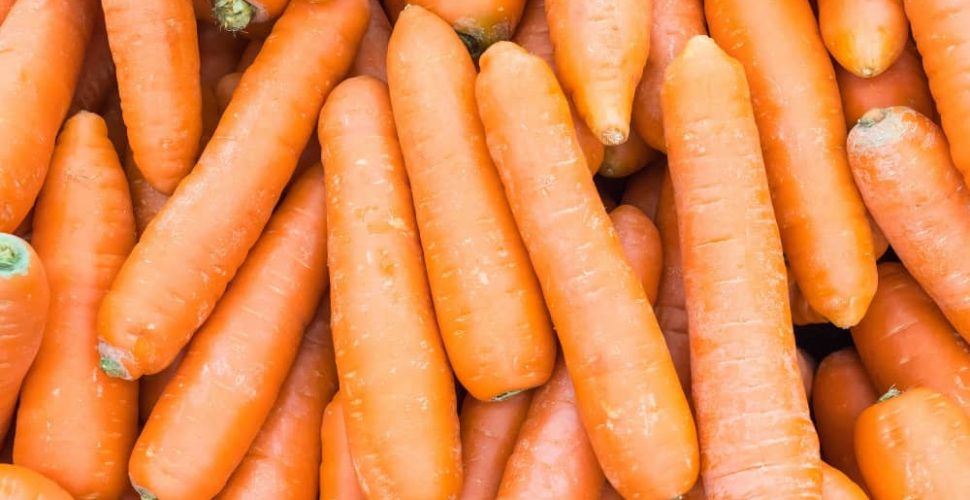 proprietà delle carote bioenergy nutrition integratori sportivi alimentazione cuneo proprietà delle carote