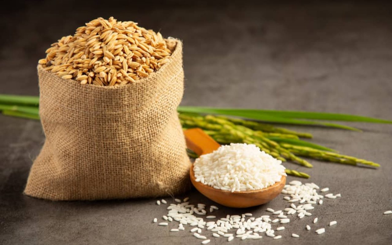 riso e sue proprietà bioenergy nutrition integratori sportivi alimentazione cuneo