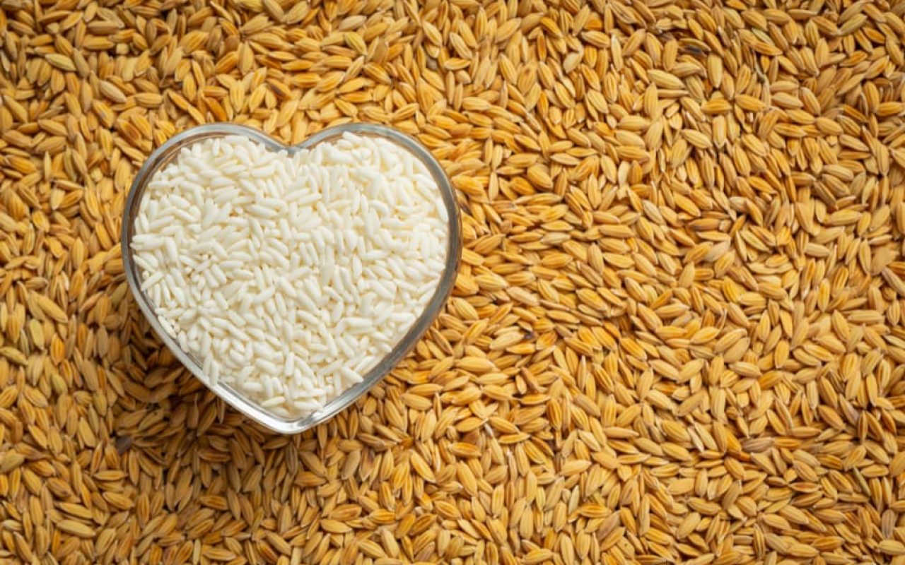 riso non solo un carboidrato complesso riso non solo un carboidrato complesso bioenergy nutrition integratori sportivi alimentazione cuneo
