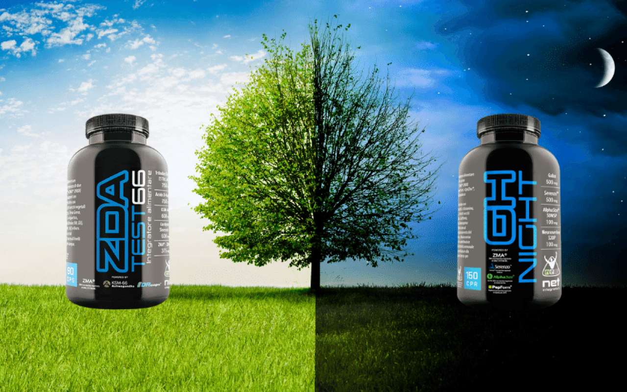 zda test e gh night net integratori zda test e gh night net integratori bioenergy nutrition integratori sportivi alimentazione cuneo