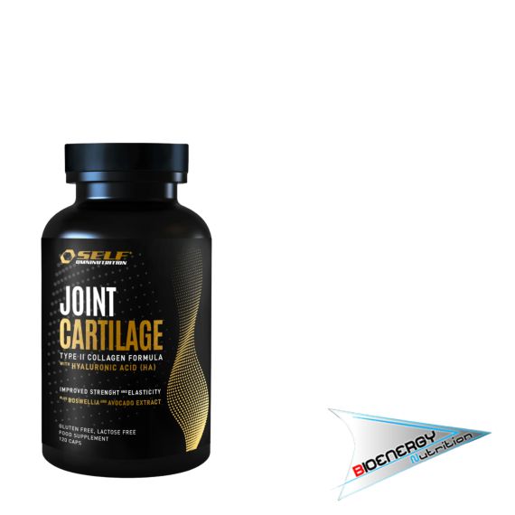 SELF-JOINT CARTILAGE (Conf. 120 cps)     